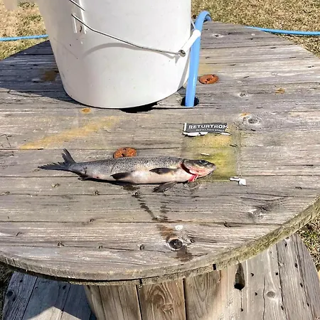 Prázdninový dům Stunning In With Wifi